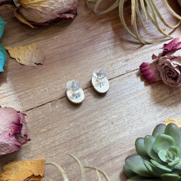 48 - Sterling Silver Dry Creek Turquoise Stud Earrings by Jason Ogg