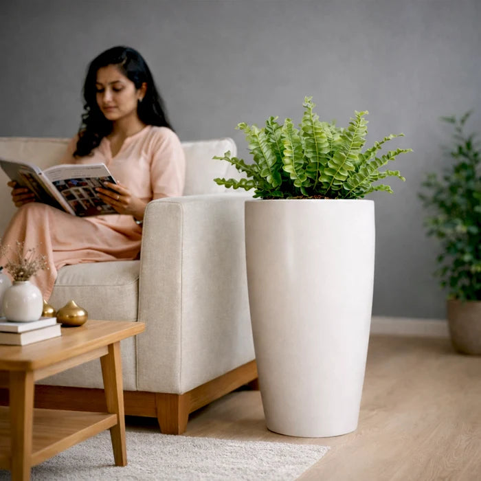 APEX Planter – T24 (5 Years Warranty) use in living room