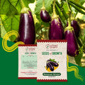 Banarasi Brinjal Seeds (Long) Vegetable Seed Urban Plant