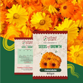 Calendula Flower Seeds Flower Seed Urban Plant