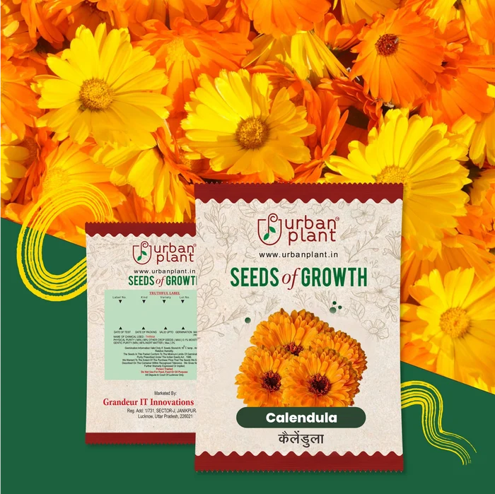 Calendula Flower Seeds Flower Seed Urban Plant