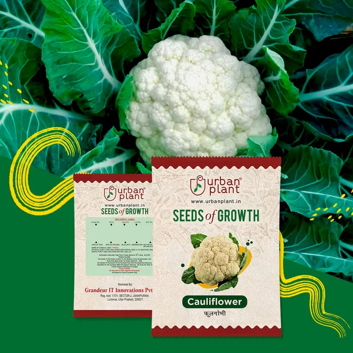 Cauliflower Seeds Urban Plant