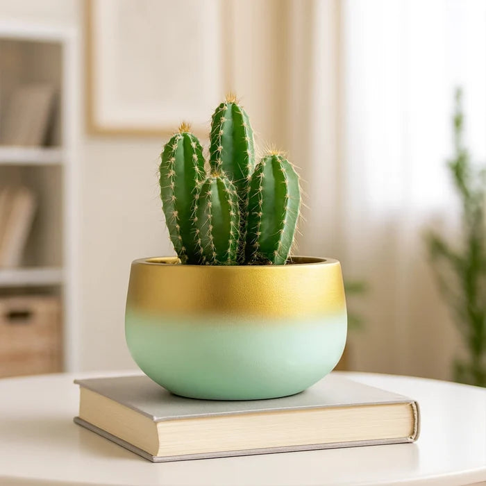 Celestia Terracotta Pot Terracotta Pot Urban Plant