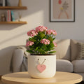 Urban Plant Cherish terracotta pot with heart tag for gifting