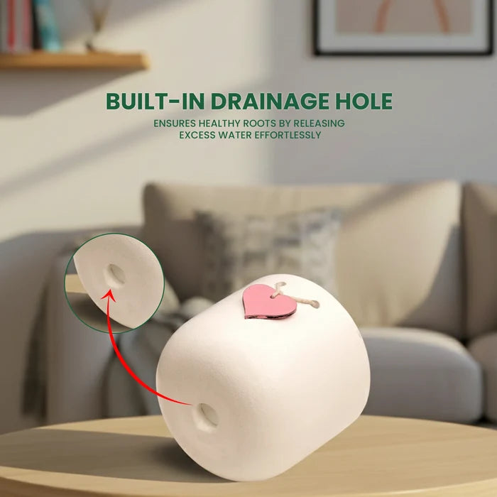 Terracotta pot with drainage hole for healthy plant growth