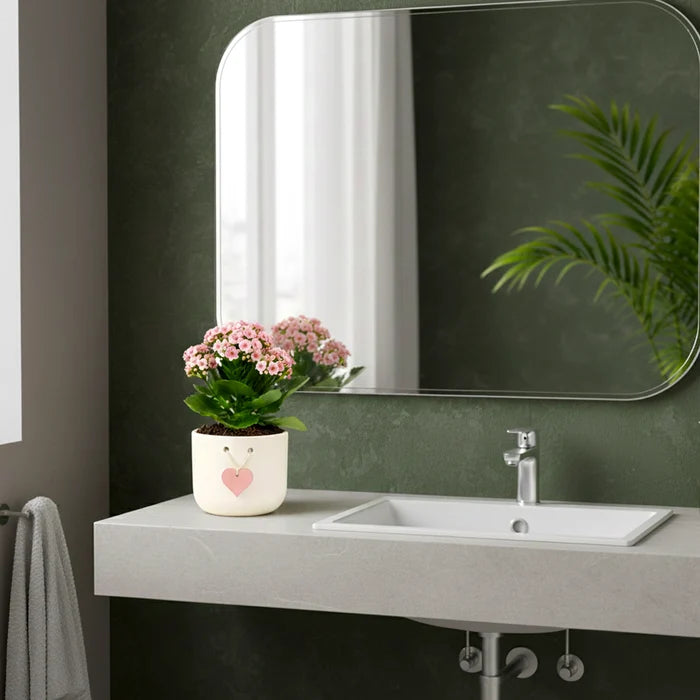Modern tabletop gift planter for home décor