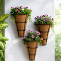 Urban Plant CONE Coir Wall Planter – Set of 3 | Natural Coir Liner with Decorative Metal Wall Basket