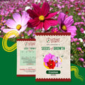 Cosmos Flower Seeds Urban Plant
