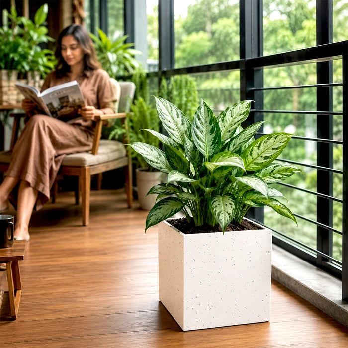 CUBIX Fiber Planter - L13 (5-Year Warranty)
