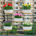 Curvian Hanging Planter - (Set of 5) Hanging Planter Urban Plant