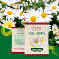 Daisy Flower Seeds Urban Plant