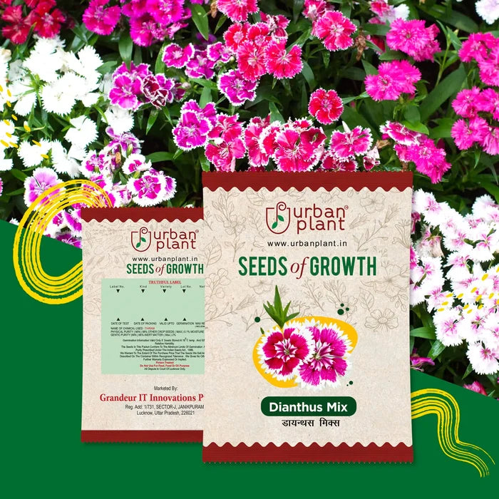 Dianthus Mix Flower Seeds Urban Plant