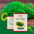 Dill Leaves (Soya Saag) Seeds Vegetable Seed Urban Plant