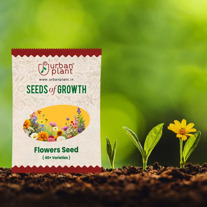 Flowers Seeds Bank – 40 plus Varieties - 4560 Seeds Flower Seed Urban Plant