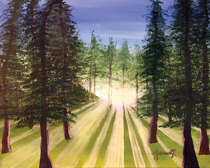 Forest Clearing