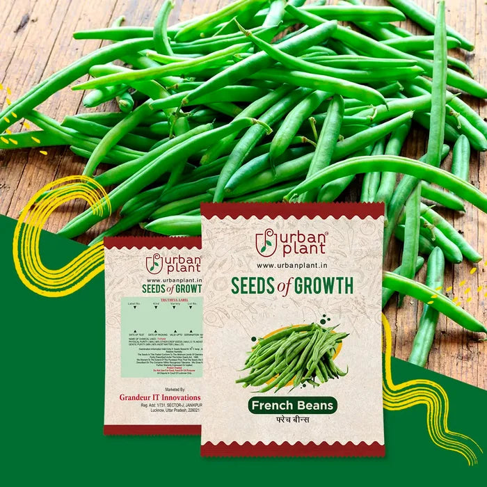 French Bean Seeds Urban Plant