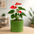 Fresh Breath Terracotta Pot with Saucer Urban Plant Vertical