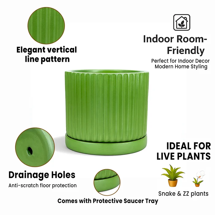 Fresh Breath Terracotta Pot with Saucer Urban Plant
