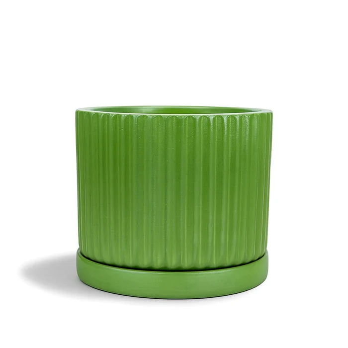 Fresh Breath Terracotta Pot with Saucer Urban Plant