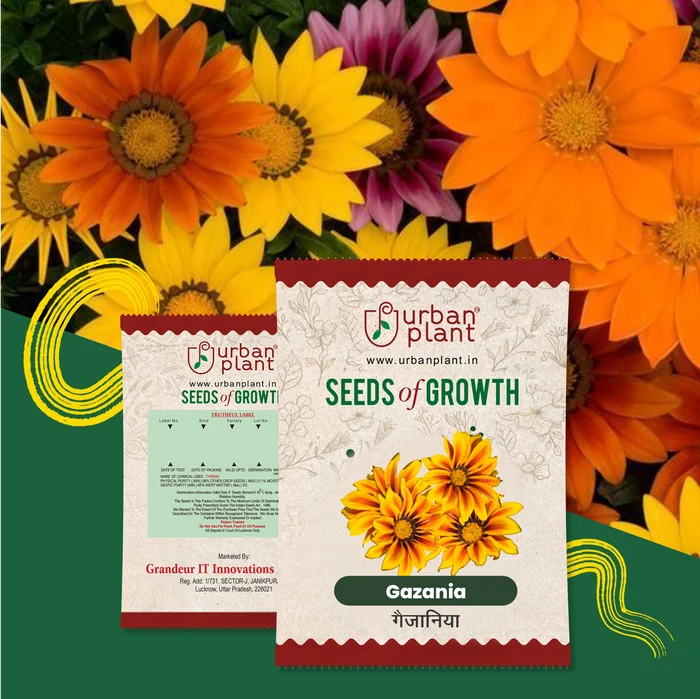Gazania Flower Seeds Flower Seed Urban Plant