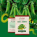 Green Peas Seeds Vegetable Seed Urban Plant