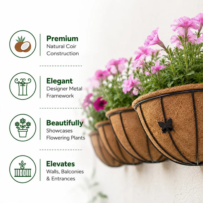 Half Moon Coir Wall Planter – Set of 1
