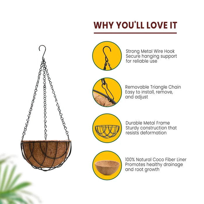 Hanging Coir Basket Planter with Metal Chain & S-Hook (Pack of 3)