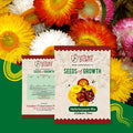Helichrysum Mix Flower Seeds Urban Plant