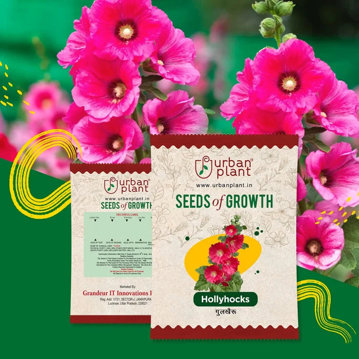 Hollyhuck Flower Seeds Urban Plant