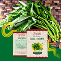 Karemua Saag (Nari) Seeds Urban Plant