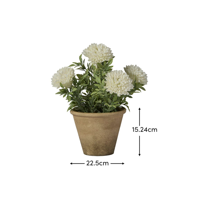 Kew 23cm Chrysanthemum In Paper Mache Pot - Laura James