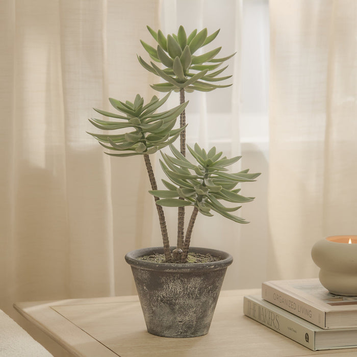 Kew 48cm Succulent In Paper Mache Pot - Laura James