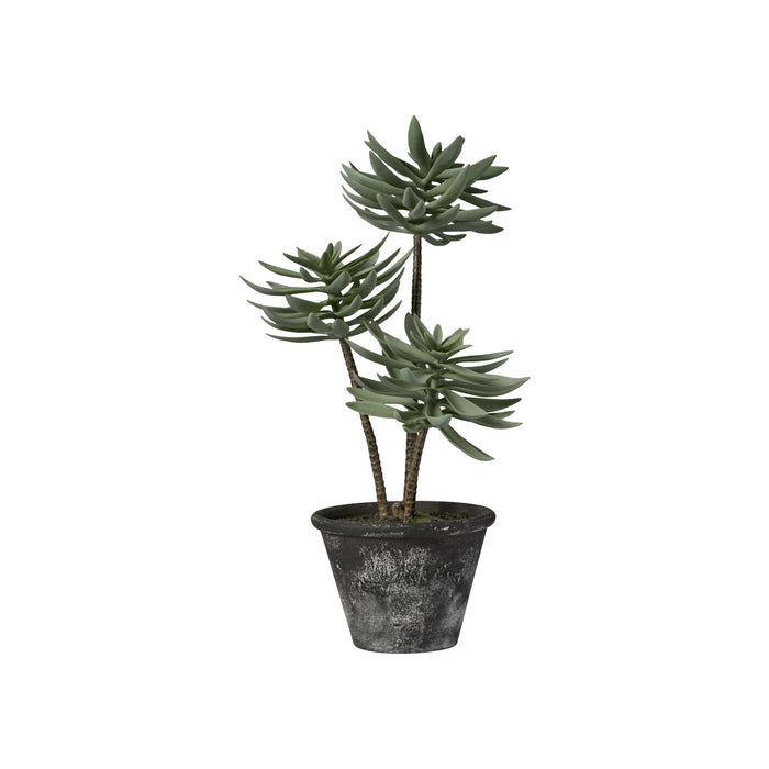 Kew 48cm Succulent In Paper Mache Pot - Laura James