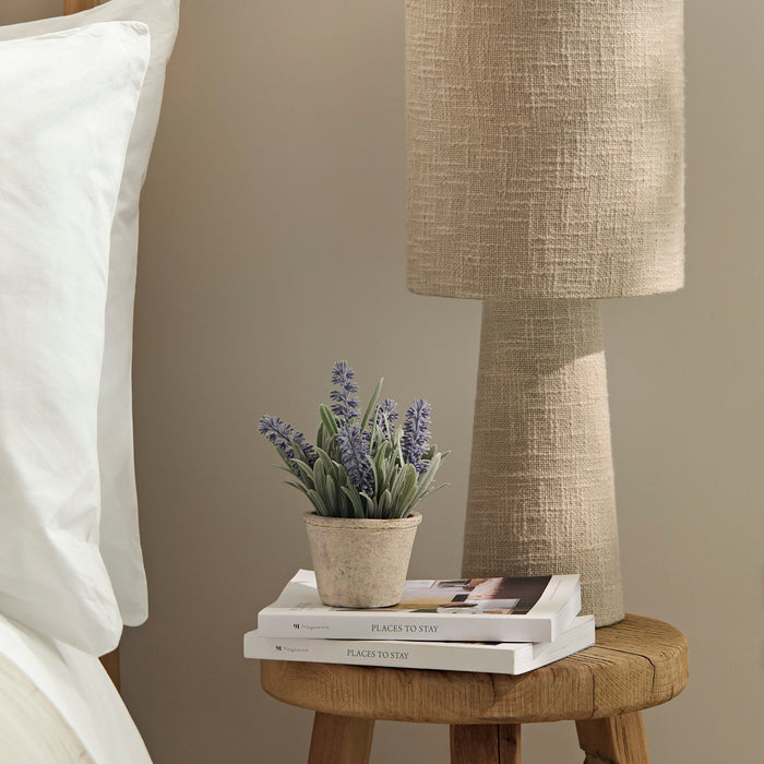 Kew Lavender Plant in Cement Pot - 18cm - Laura James