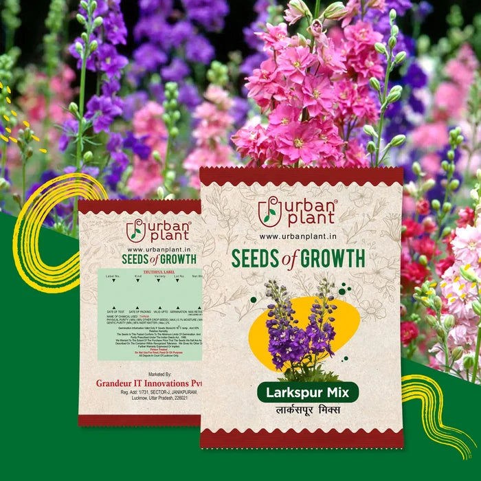 Larkspur Mix Flower Seeds Urban Plant