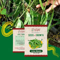 Lima Beans (Sem) Seeds Urban Plant