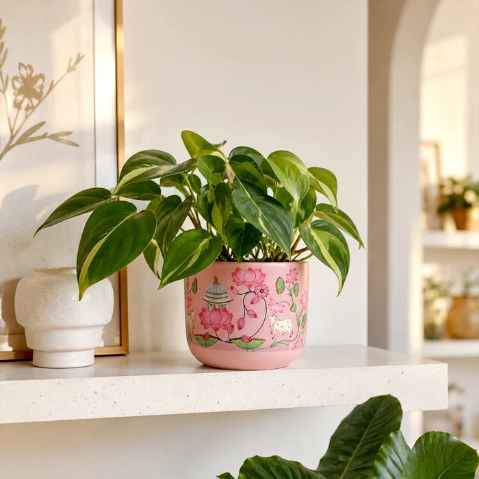 Mahal 3D Print Terracotta Pot in Blush Pink with lotus and Indian heritage artwork by Urban Plant