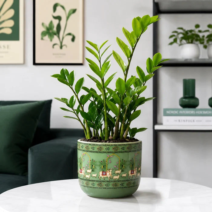 Sage Green