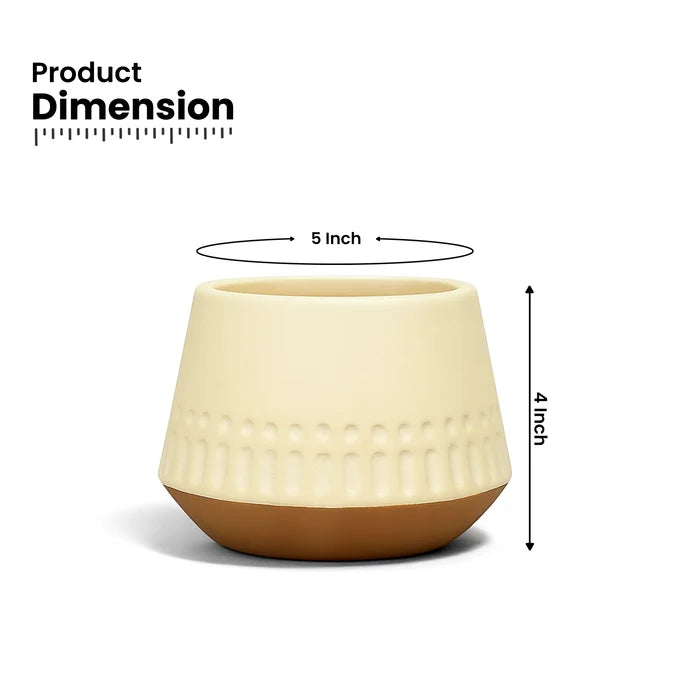 Majesty Terracotta Pot Urban Plant