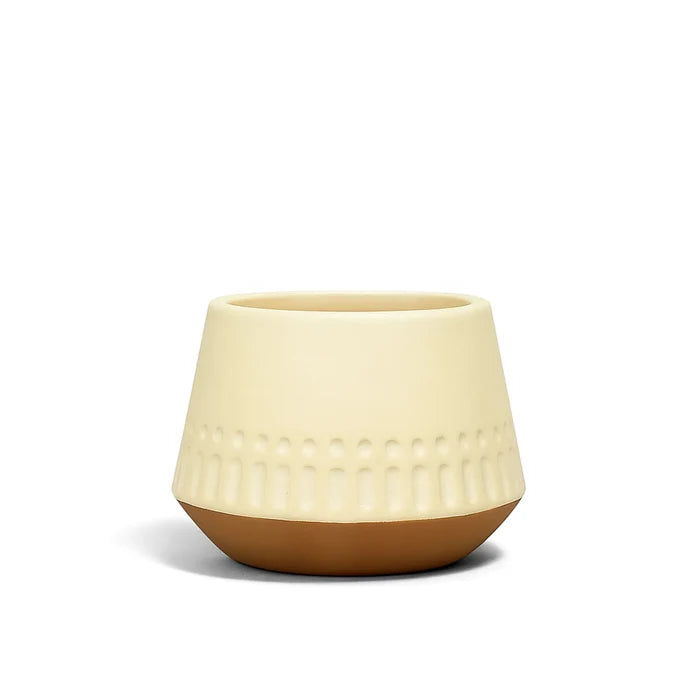 Majesty Terracotta Pot Urban Plant
