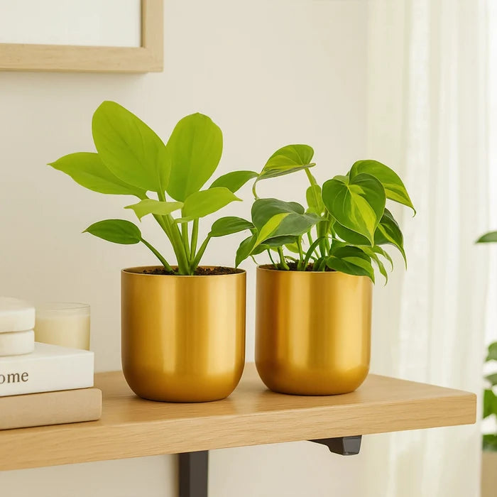 Metallic Miniature Planter (Gold - Pack of 2) Metal Planter Urban Plant