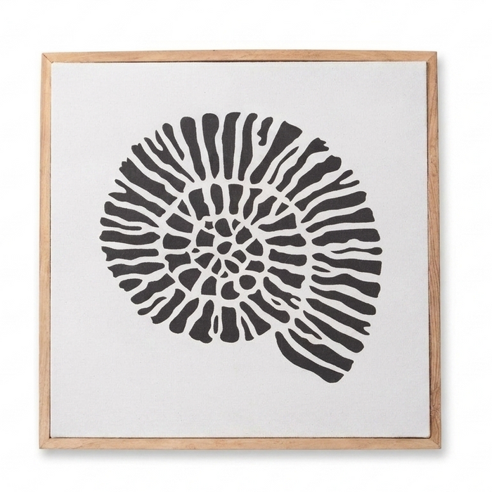 Newlyn 45x45cm Wall Art - Shell III - Laura James