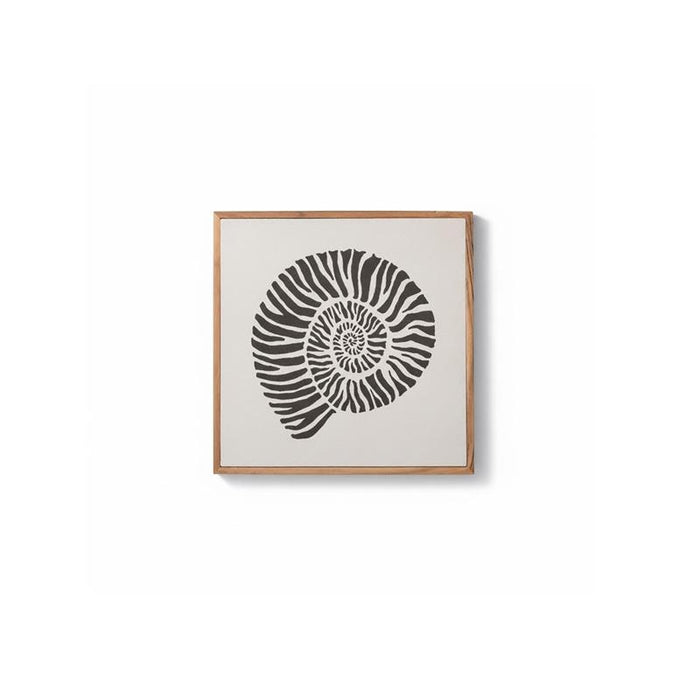 Newlyn 45x45cm Wall Art  - Shell I - Laura James