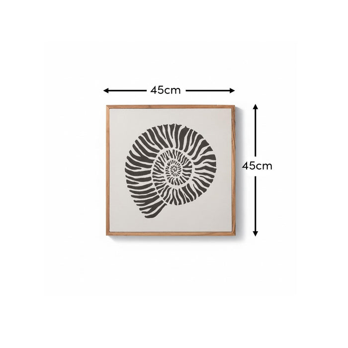 Newlyn 45x45cm Wall Art  - Shell I - Laura James