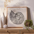 Newlyn 45x45cm Wall Art - Shell II - Laura James
