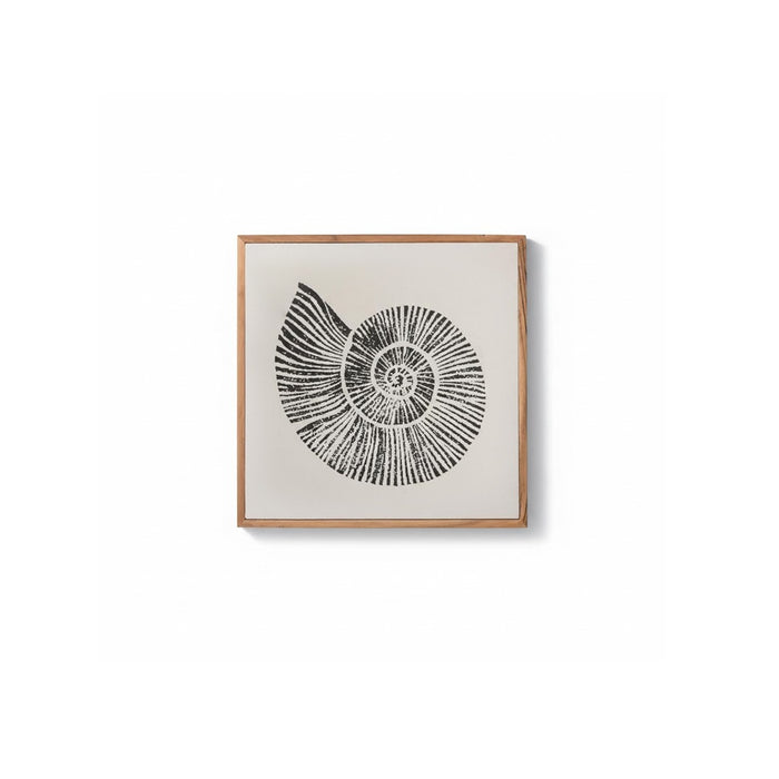 Newlyn 45x45cm Wall Art - Shell II - Laura James