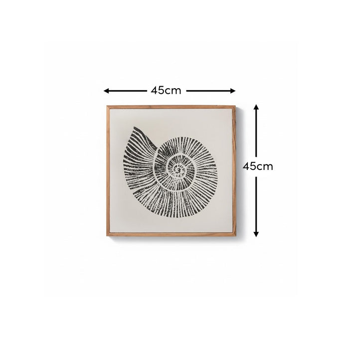 Newlyn 45x45cm Wall Art - Shell II - Laura James