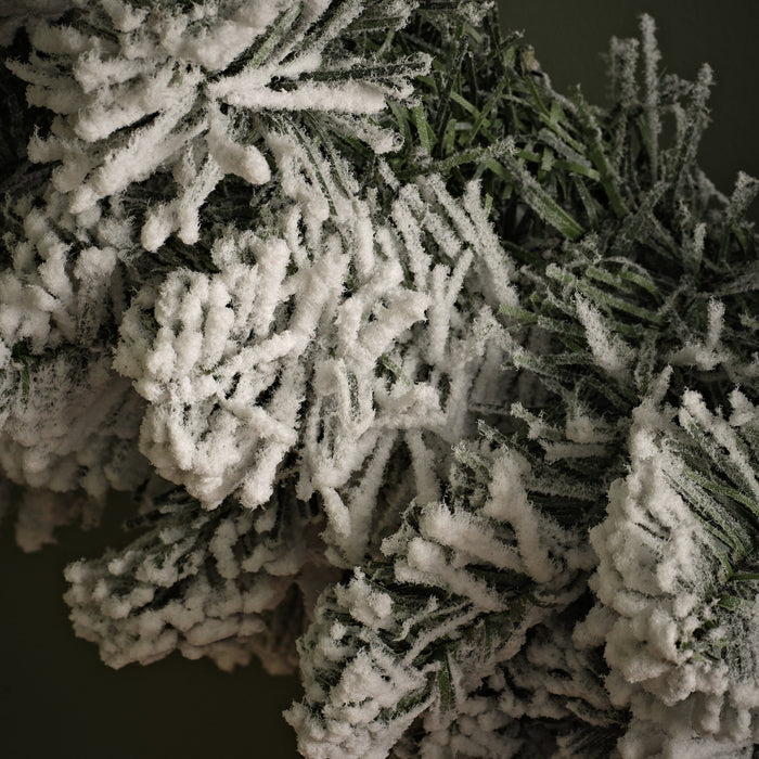 Norrbo 50cm Frosted Christmas Wreath - Laura James