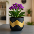 Nova Terracotta Pot Terracotta Pot Urban Plant Black