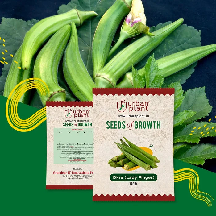 Okra Seeds (Lady Finger) Urban Plant